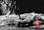 Image of Civilian Conservation Corps United States USA, 1939, second 33 stock footage video 65675064317