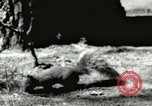 Image of Civilian Conservation Corps United States USA, 1939, second 34 stock footage video 65675064317