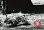 Image of Civilian Conservation Corps United States USA, 1939, second 35 stock footage video 65675064317
