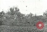 Image of Civilian Conservation Corps United States USA, 1939, second 42 stock footage video 65675064317