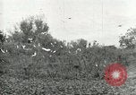 Image of Civilian Conservation Corps United States USA, 1939, second 44 stock footage video 65675064317