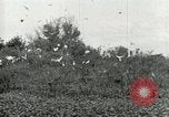 Image of Civilian Conservation Corps United States USA, 1939, second 45 stock footage video 65675064317