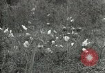 Image of Civilian Conservation Corps United States USA, 1939, second 49 stock footage video 65675064317