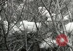 Image of Civilian Conservation Corps United States USA, 1939, second 52 stock footage video 65675064317