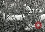 Image of Civilian Conservation Corps United States USA, 1939, second 53 stock footage video 65675064317