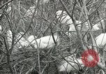 Image of Civilian Conservation Corps United States USA, 1939, second 54 stock footage video 65675064317