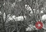 Image of Civilian Conservation Corps United States USA, 1939, second 55 stock footage video 65675064317