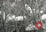 Image of Civilian Conservation Corps United States USA, 1939, second 56 stock footage video 65675064317
