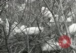 Image of Civilian Conservation Corps United States USA, 1939, second 57 stock footage video 65675064317