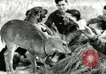 Image of Civilian Conservation Corps United States USA, 1939, second 58 stock footage video 65675064317