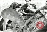 Image of Civilian Conservation Corps United States USA, 1939, second 61 stock footage video 65675064317