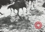 Standbild russische Truppen Feuer auf Bauern Sankt Petersburg Russland, 1905, aus Sekunde 54 historischem Filmmaterial Videoclip 65675064323