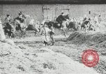 Standbild russische Truppen Feuer auf Bauern Sankt Petersburg Russland, 1905, aus Sekunde 56 historischem Filmmaterial Videoclip 65675064323