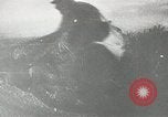 Standbild Russische Revolution Russland, 1917, aus Sekunde 11 historischem Filmmaterial Videoclip 65675064324