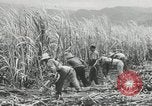 Immagine di Fidel Castro Cuba, 1960, secondo 5 filmato di repertorio 65675064334