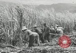 Immagine di Fidel Castro Cuba, 1960, secondo 6 filmato di repertorio 65675064334