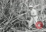 Immagine di Fidel Castro Cuba, 1960, secondo 8 filmato di repertorio 65675064334