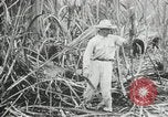 Immagine di Fidel Castro Cuba, 1960, secondo 9 filmato di repertorio 65675064334