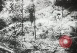 Immagine di Fidel Castro Cuba, 1960, secondo 38 filmato di repertorio 65675064334