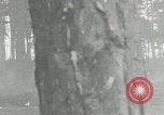 Immagine di Muro di Berlino in costruzione Berlino Germania, 1961, secondo 60 filmato di repertorio 65675064335