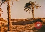 Immagine di Antica vita Egiziana Egitto, 1951, secondo 45 filmato di repertorio 65675064337