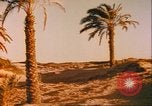 Immagine di Antica vita Egiziana Egitto, 1951, secondo 47 filmato di repertorio 65675064337