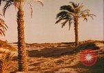 Immagine di Antica vita Egiziana Egitto, 1951, secondo 48 filmato di repertorio 65675064337