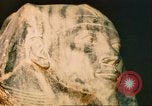 Standbild König Khafre Ägypten, 1951, aus Sekunde 51 historischem Filmmaterial Videoclip 65675064342