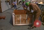 Immagine di King Tut tesori Norfolk Virginia USA, 1976, secondo 15 filmato di repertorio 65675064347