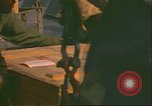 Image of King Tutankhamun artifacts Norfolk Virginia USA, 1976, second 11 stock footage video 65675064349