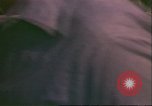 Image of King Tutankhamun artifacts Norfolk Virginia USA, 1976, second 12 stock footage video 65675064349