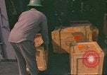 Image of King Tutankhamun artifacts Norfolk Virginia USA, 1976, second 39 stock footage video 65675064349