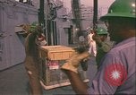 Image of King Tutankhamun artifacts Norfolk Virginia USA, 1976, second 43 stock footage video 65675064349