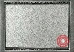 Image of fur industry United States USA, 1930, second 1 stock footage video 65675064354