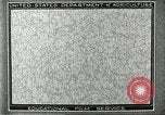 Image of fur industry United States USA, 1930, second 4 stock footage video 65675064354