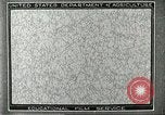 Image of fur industry United States USA, 1930, second 6 stock footage video 65675064354