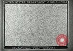 Image of fur industry United States USA, 1930, second 7 stock footage video 65675064354