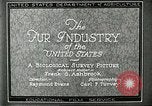 Image of fur industry United States USA, 1930, second 26 stock footage video 65675064354