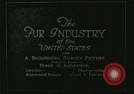 Image of fur industry United States USA, 1930, second 28 stock footage video 65675064354