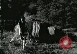 Image of fur industry United States USA, 1930, second 41 stock footage video 65675064354