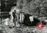 Image of fur industry United States USA, 1930, second 42 stock footage video 65675064354