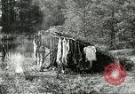 Image of fur industry United States USA, 1930, second 44 stock footage video 65675064354