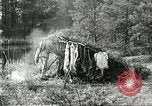 Image of fur industry United States USA, 1930, second 46 stock footage video 65675064354