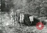 Image of fur industry United States USA, 1930, second 48 stock footage video 65675064354