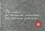Image of fur industry United States USA, 1930, second 51 stock footage video 65675064354