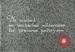 Image of fur industry United States USA, 1930, second 52 stock footage video 65675064354