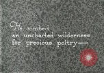 Image of fur industry United States USA, 1930, second 53 stock footage video 65675064354