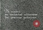Image of fur industry United States USA, 1930, second 55 stock footage video 65675064354