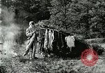 Image of fur industry United States USA, 1930, second 57 stock footage video 65675064354