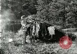 Image of fur industry United States USA, 1930, second 58 stock footage video 65675064354